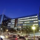 서울대학교 이미지