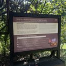 세유식당 이미지