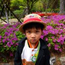 금강공원4 이미지