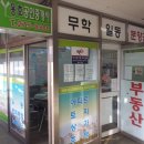 용호부동산중개사무소 이미지