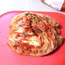 사락천 티스토리