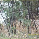 마산동할먼네집 이미지