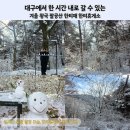 한국 피자헛 한티본점 | 대구 당일치기 투어 눈꽃 절경! 팔공산 한티재 겨울 왕국 탐방