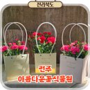 식물나라화원 | 전주 에코시티 꽃집 송천동 화원 꽃다발 카네이션 아름다운꽃식물원