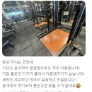 제라피트니스 | 제주시 깔끔하고 기구 좋은 헬스장 &lt;제라피트니스&gt; 리뷰/후기 모음