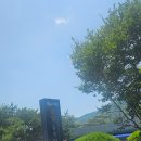 밀양 숲속마을 | 밀양 숲속마을 물놀이터 !가격, 예약꿀팁, 식당가격.준비물 등등!