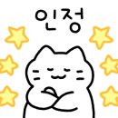 플라잉에잇주