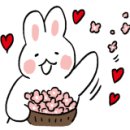 요한이네횟집 이미지