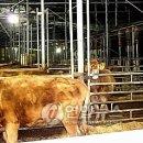 곡성-198 이미지