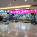 반월당신세계약국 Daum카페
