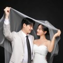 바이보니타