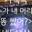 가족극<누가 내 머리에 똥쌌어?> 이미지