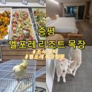 강정목장 | 증평관광지 벨포레 리조트 호텔 벨포레목장 조식 후기 증평 아이와 가볼만한 곳