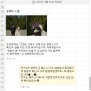 유앤미스냅 노을공원 내돈내산 야외스냅 웨딩촬영 대강추 후기🥹🩵