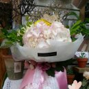 법화한의원 이미지