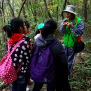 염주초교 이미지