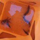 그린드시펜션 이미지