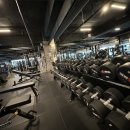 토탈헬스 이미지