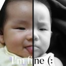 남해오늘