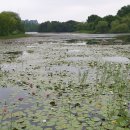 호수공원14로 이미지