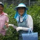 비당농장 이미지