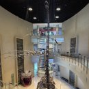 자란만마을 | 고성 공룡박물관 실내공룡 야외 놀이터 아이와 가볼만한곳 추천