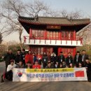 보타