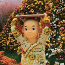 순천-62호 티스토리