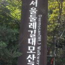 제 808차 대모산둘레길 산행기(2015.8.9) 이미지