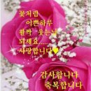 남강인력개발 이미지