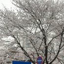 덕풍천동로 이미지