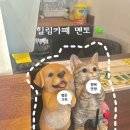 멘토 | 수원역 이색데이트 힐링카페 멘토 후기