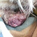 둘리농장 이미지