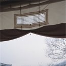다인茶人