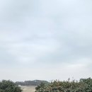 동백정 이미지