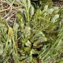 금당목장 이미지