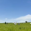 거시기농원 | 고창 청보리밭 유채꽃 4월 실시간 🌼🌿 내돈내산 당일 패키지 여행
