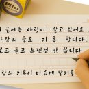 의흥통닭 네이버블로그