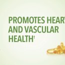 네이처스 티 이미지