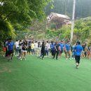 중앙애견 이미지