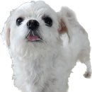 맘스터치 안양호계점 이미지