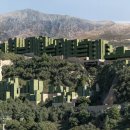 3 Hand gym 이미지