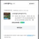 스테이돌덕 이미지