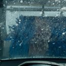 밀양농협주유소 이미지