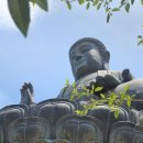 남미륵사 | "동양 최대 불상과 꽃길의 성지, 강진 남미륵사 솔직 후기🌸"