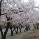 탑거리세천 이미지