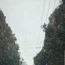 무릉리 그집 이미지