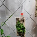 카페 사월오일 이미지