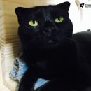 환영반점 이미지