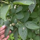 질경이농장2 | 무릎뼈 통증 원인부터 알아보고 관리하기